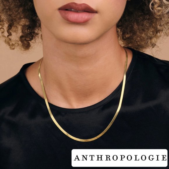 Anthropologie Jewelry - NWT! Anthopologie Flat Gold Herringbone Necklace